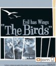 game pic for The Birds: Evil Has Wings